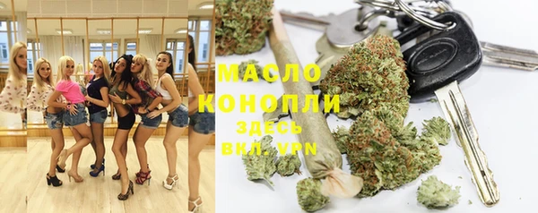 mdpv Бородино