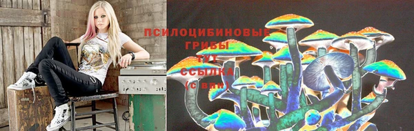 каннабис Богородицк